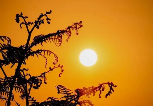 Україну охопить екстремальна спека до +40°C: де буде найгарячіше та коли чекати прохолоду