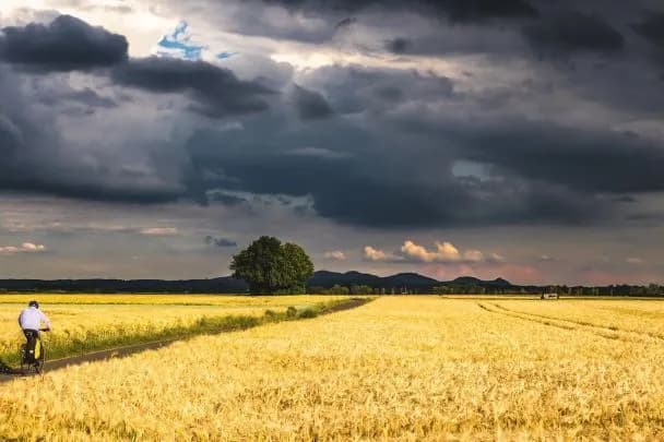 Україну накриють грози та град: синоптики оголосили штормове попередження