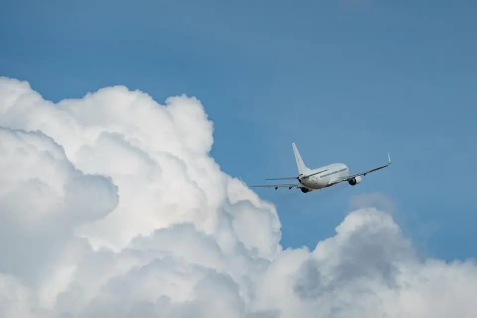 Завдяки трекеру чоловік повернув забутий у літаку гаманець, який подолав 1000 км