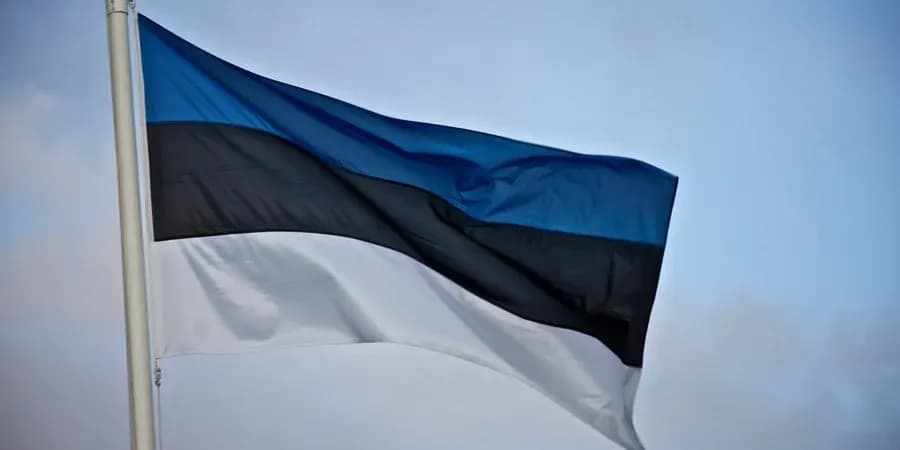 Естонський м'ясний бренд потрапив у скандал через рекламу: що сталося