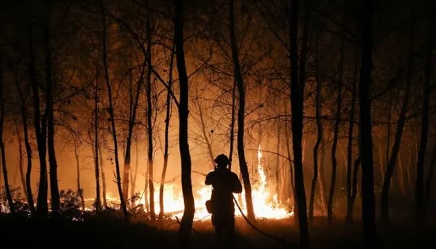 Лісові пожежі у Франції: евакуйовано 20 тисяч людей