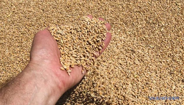 У ВАР пропонують розширити компенсації для аграріїв через блокування морського експорту