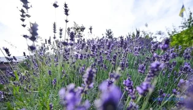 Прогноз погоди: на вихідних в Україні очікуються дощі з грозами та до +30°