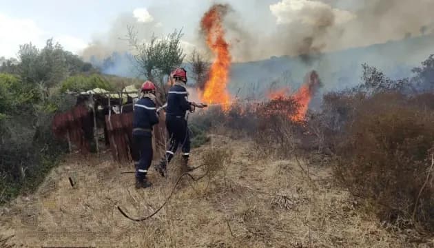 В Алжирі готують смертну кару за підпали лісів