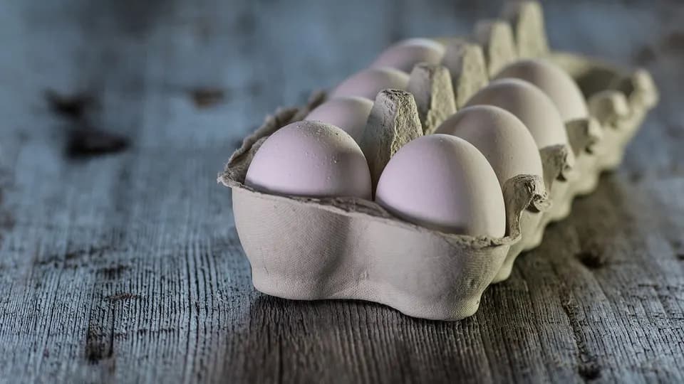 Експорт яєць з України: обсяги зросли на 18%, а дохід — на 37%