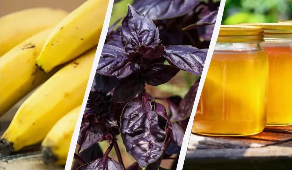 11 продуктів, які втрачають смак та якість у холодильнику
