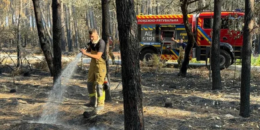 Українські рятувальники прибули до Франції на допомогу у гасінні пожеж