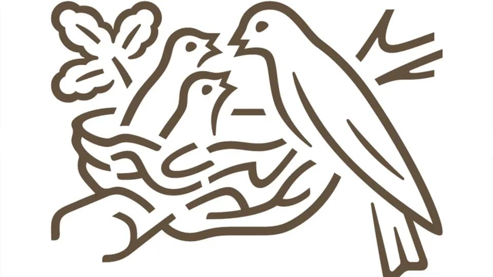 Nestle наростила продажі в Україні на 19,3% та інвестувала 5 млрд грн за пів року