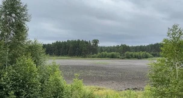 На Хмельниччині повністю висохло унікальне Святе озеро