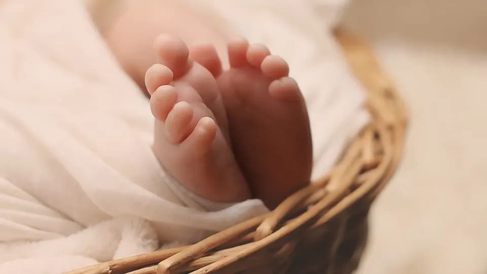 У Раді пропонують заборонити сурогатне материнство для іноземців та ввести кримінальну відповідальність