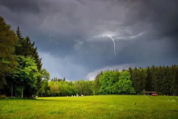 Погода 19 серпня: послаблення спеки та дощі в Україні