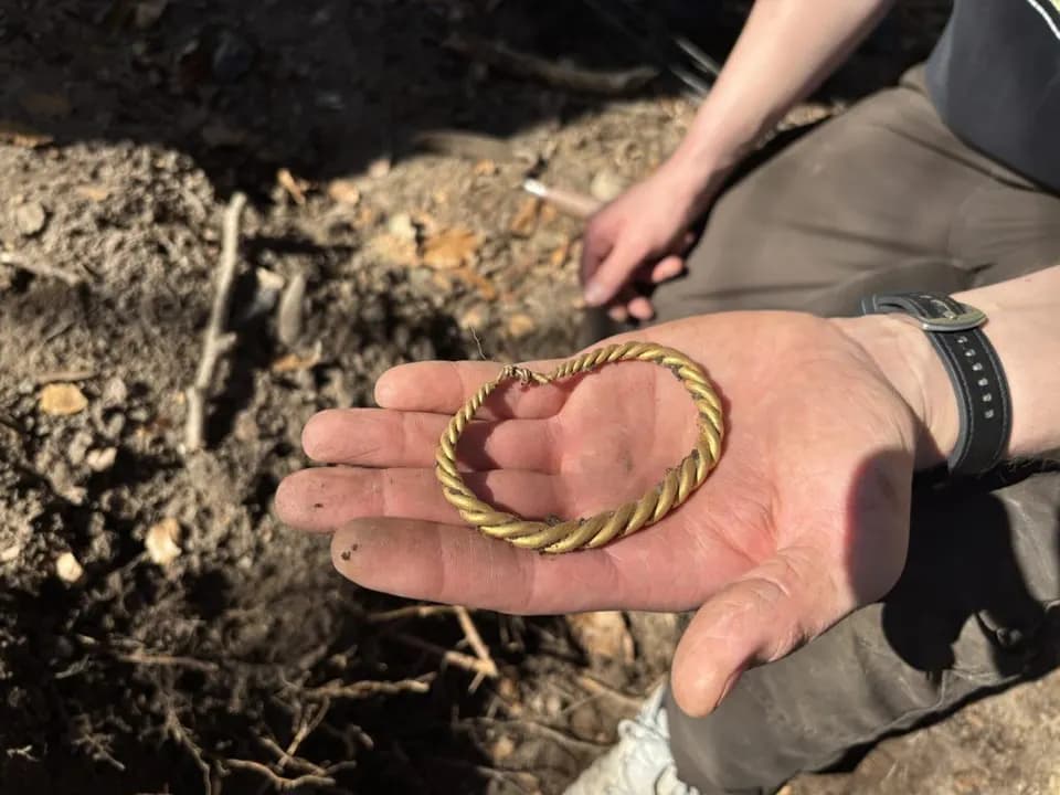 У Данії виявили один із найбільших скарбів епохи вікінгів