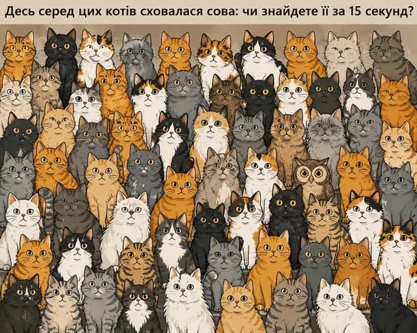 Візуальна головоломка: знайдіть сову серед котів за 15 секунд