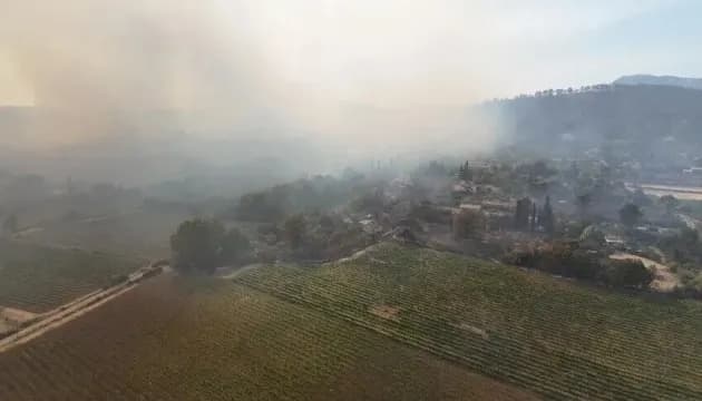 Масштабні пожежі у Франції: влада залучає армію та авіацію