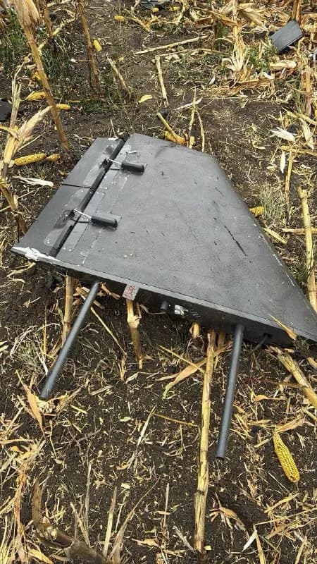 У Молдові під час російської атаки на Україну впали та вибухнули дрони