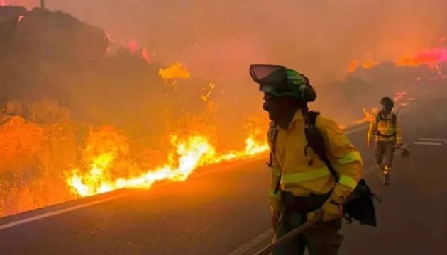 Лісова пожежа в Іспанії спалила понад 32 тисячі гектарів